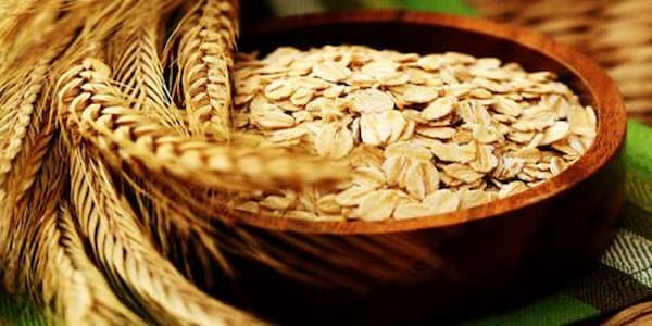 تصویر 5 از فروش جو دوسر پرک + قیمت خرید به صرفه