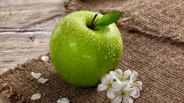 فروش سیب سبز دزفول + قیمت خرید به صرفه
