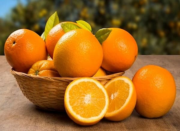 تصویر 5 از قیمت پرتقال شیرین جنوب با کیفیت ارزان + خرید عمده