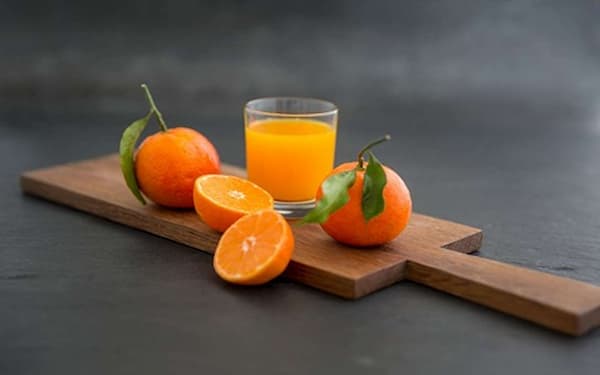 تصویر 5 از فروش کنسانتره پرتقال مازندران + قیمت خرید به صرفه