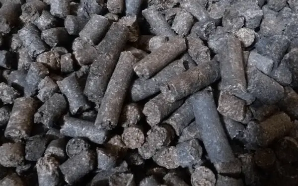 تصویر 3 از قیمت تفاله چغندر دیمومت + خرید باور نکردنی