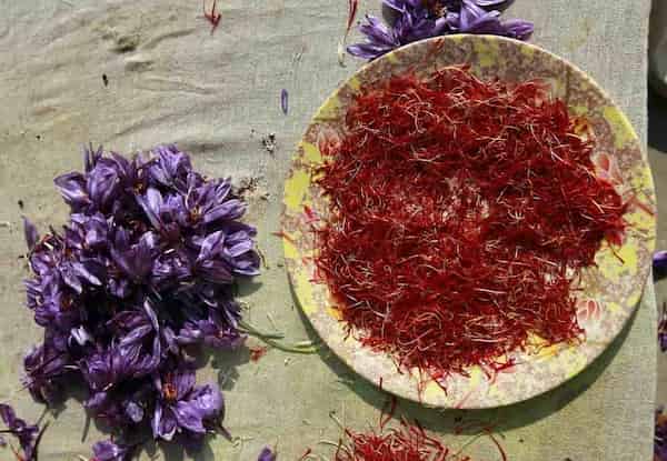 تصویر 3 از قیمت زعفران سرگل درجه یک + خرید باور نکردنی