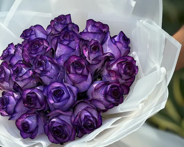 تصویر 1 از خرید جدیدترین انواع گل رز بنفش