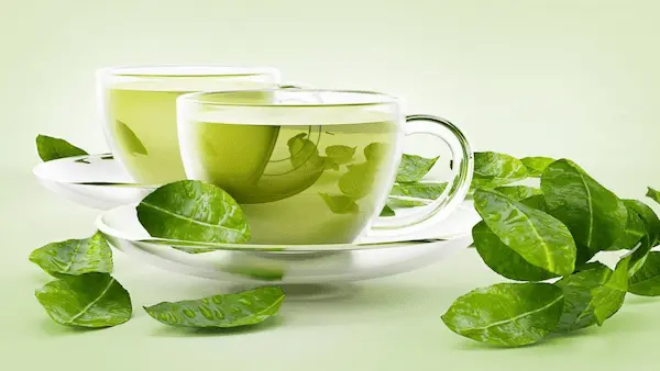 خرید چای سبز + بهترین قیمت