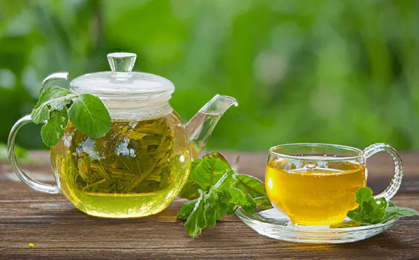 تصویر 2 از معرفی چای سبز ایرانی + بهترین قیمت خرید