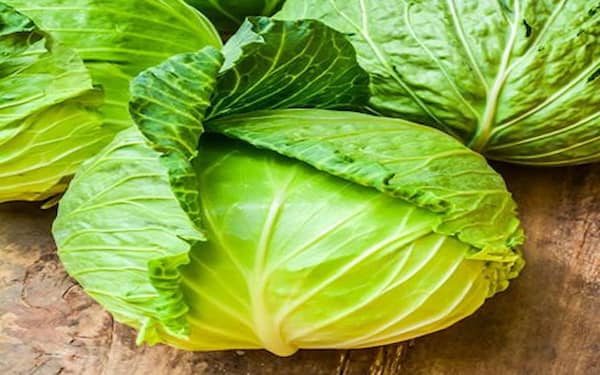 تصویر 4 از خرید و قیمت کلم پیچ توسکانی + فروش صادراتی