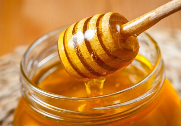 تصویر 5 از قیمت خرید عسل آویشن طبیعی + فروش ویژه