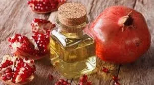 تصویر 5 از قیمت خرید روغن هسته انار پرس سرد با فروش عمده