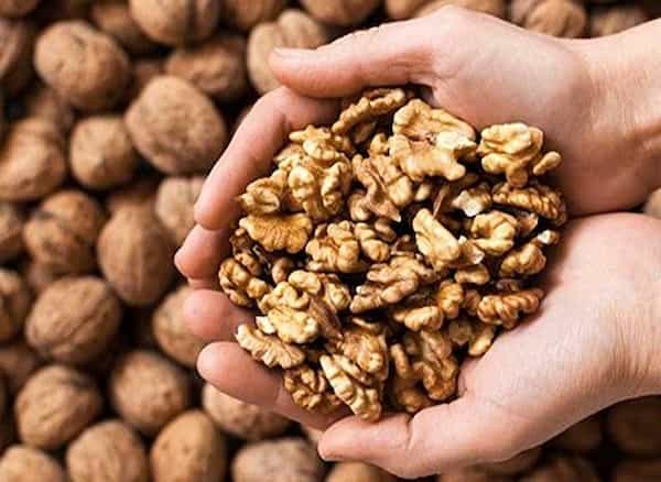 تصویر 5 از خرید و قیمت مغز گردوی ایرانی درجه یک + فروش عمده