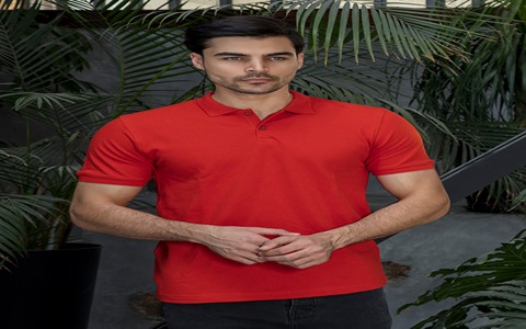 تصویر 2 از خرید تیشرت مردانه یقه دار + قیمت فروش استثنایی