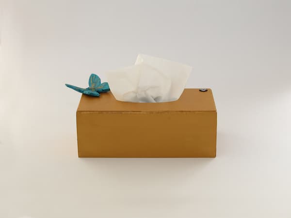 تصویر 5 از قیمت دستمال کاغذی اقتصادی عمده + فروش ویژه