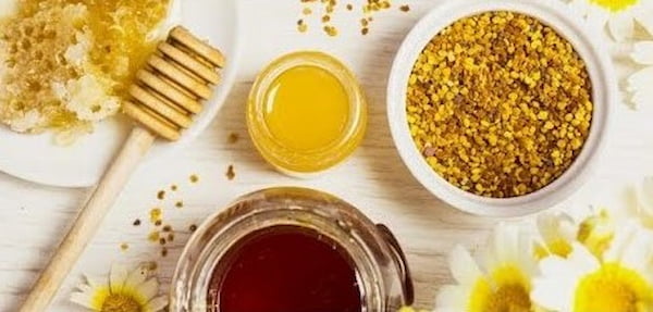 تصویر 3 از قیمت خرید عسل زرشک خراسان با فروش عمده