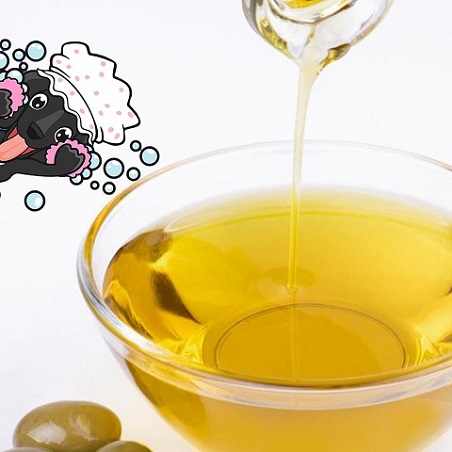تصویر 5 از قیمت خرید روغن زیتون کوچک با فروش عمده