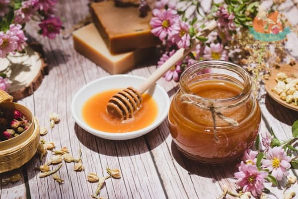 تصویر 7 از خرید و قیمت عسل گیاهی دارویی