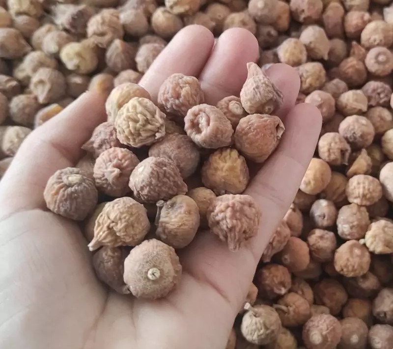 تصویر 1 از قیمت خرید انجیر صنعتی و ضایعات + فروش ویژه