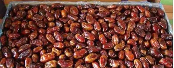 تصویر 4 از قیمت خرما استعمران تازه + خرید باور نکردنی
