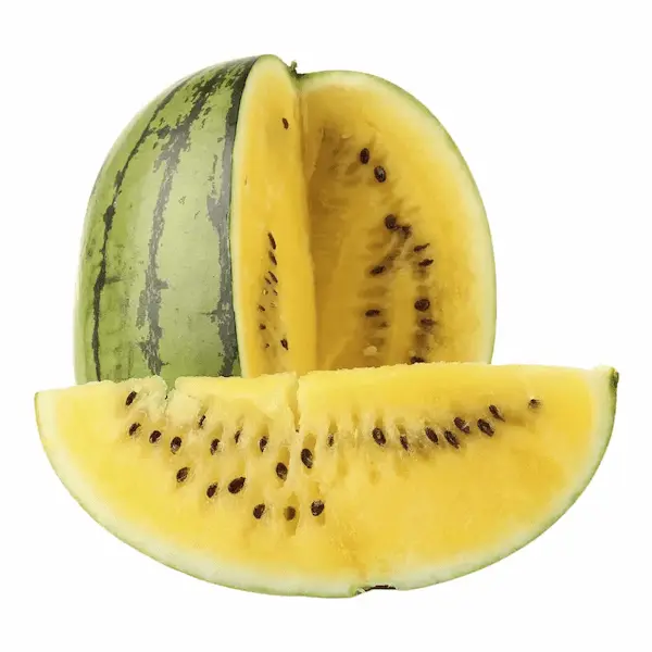 تصویر 3 از خرید و قیمت هندوانه طلایی ارگانیک + فروش عمده