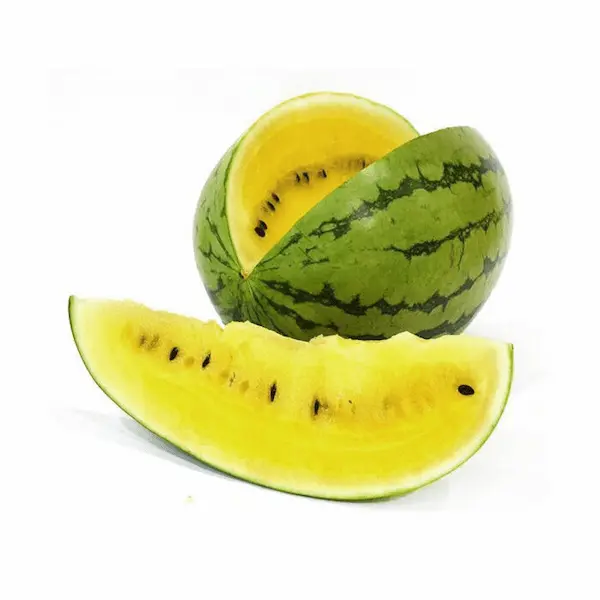 خرید و قیمت هندوانه طلایی ارگانیک + فروش عمده