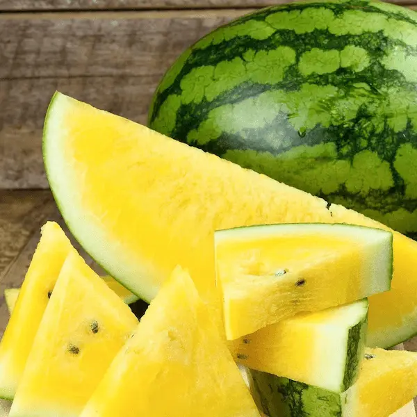 تصویر 5 از خرید و قیمت هندوانه طلایی ارگانیک + فروش عمده