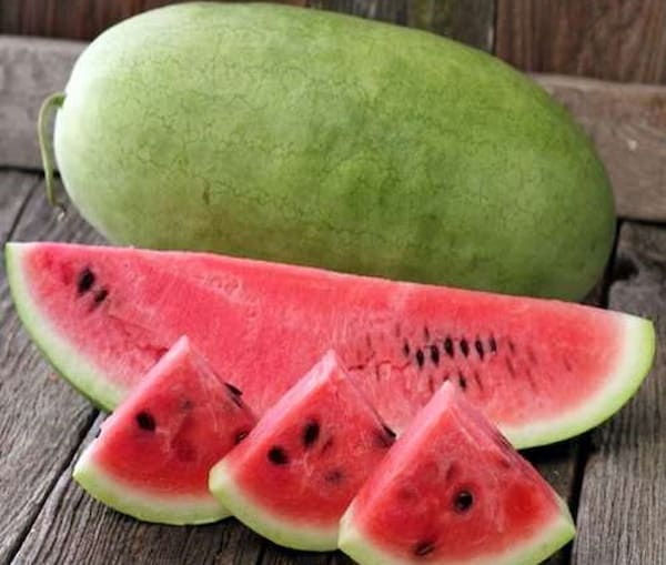 قیمت خرید هندوانه سبز روشن عمده به صرفه و ارزان
