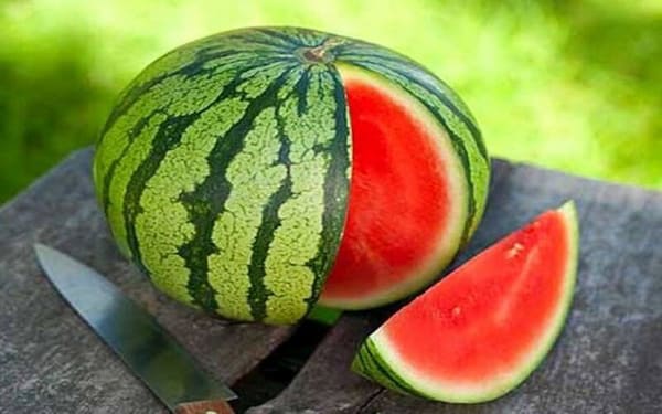 تصویر 5 از قیمت هندوانه قرمز شیرین + خرید باور نکردنی