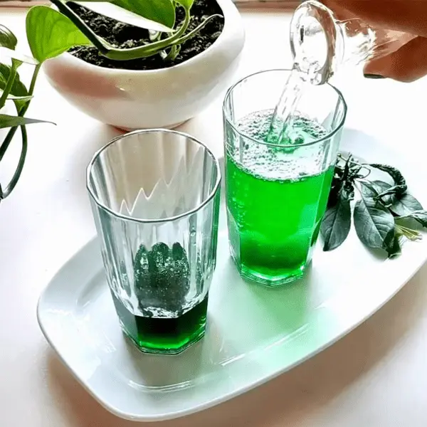 تصویر 4 از قیمت خرید شربت نعنا آماده ارگانیک با فروش عمده