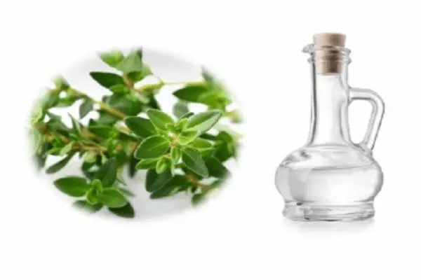 فروش عرق آویشن کوهی + قیمت خرید به صرفه