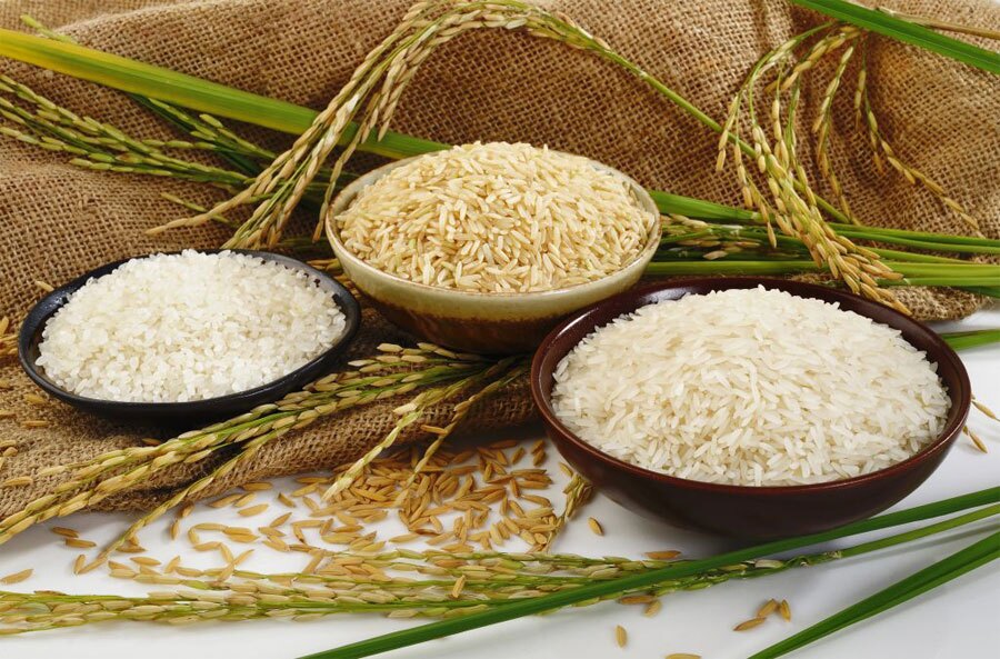 تصویر 2 از خرید برنج فجر اعلا گرگان + قیمت فروش استثنایی