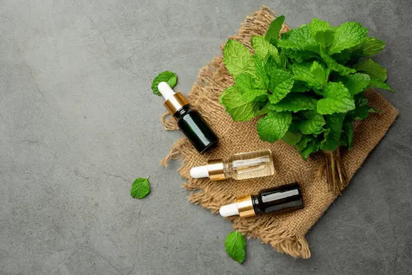 تصویر 3 از قیمت اسانس طبیعی پونه با کیفیت ارزان + خرید عمده