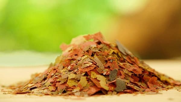 تصویر 2 از قیمت خرید غذای ماهی اوزون برون + فروش ویژه