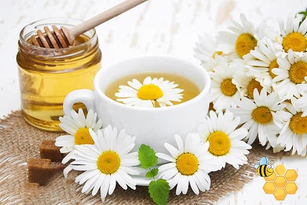 قیمت خرید عسل طبیعی بابونه عمده به صرفه و ارزان