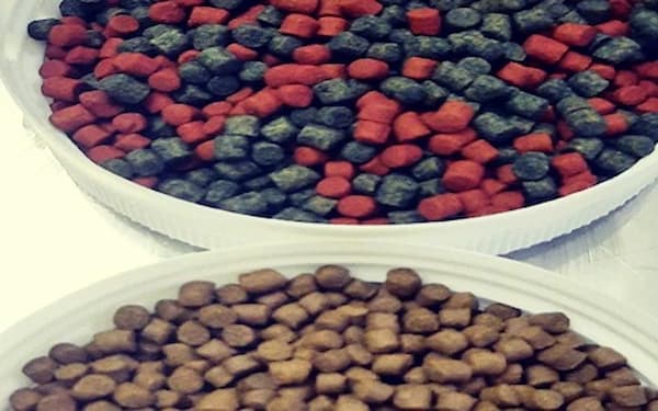 تصویر 5 از خرید و قیمت غذای ماهی کپور + فروش عمده