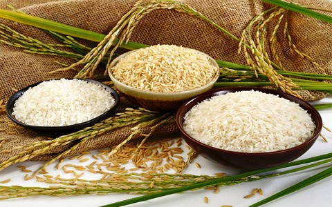 تصویر 2 از قیمت خرید برنج شیرودی طبیعت با فروش عمده