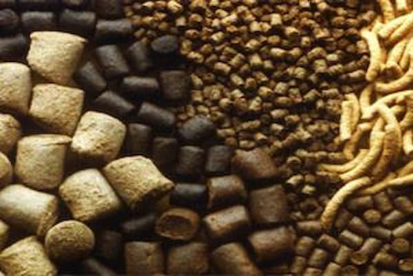 خرید غذا ماهی