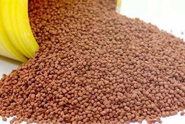 قیمت غذا ماهی