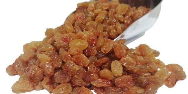 تصویر 4 از فروش کشمش پلویی خوشه طلایی + قیمت خرید به صرفه