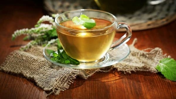 تصویر 4 از قیمت خرید معجون چای کاشان + فروش ویژه