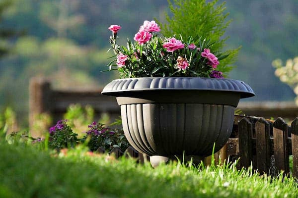 تصویر 2 از بهترین گلدان پلاستیکی بزرگ سفید + قیمت خرید عالی