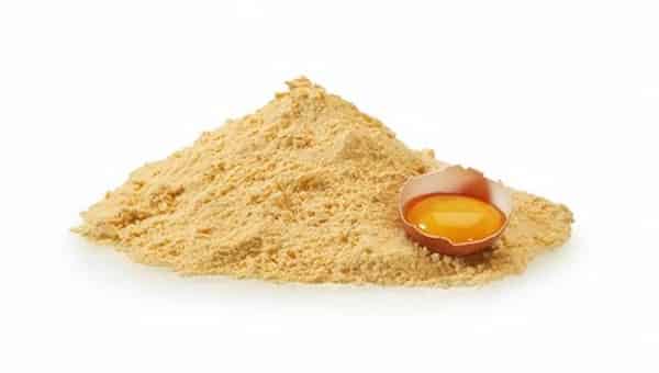 تصویر 3 از فروش پودر زرده تخم مرغ + قیمت خرید به صرفه