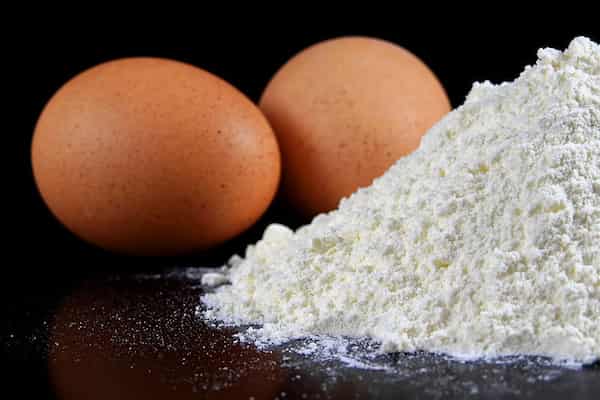 تصویر 3 از فروش پودر سفیده تخم مرغ + قیمت خرید به صرفه