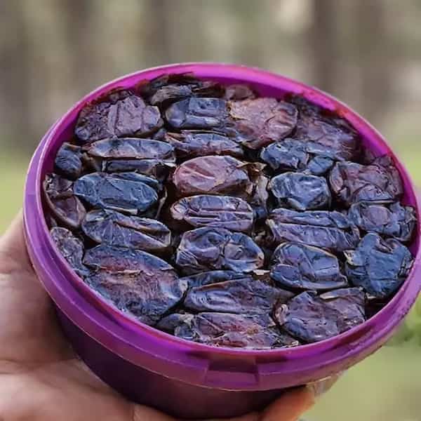 تصویر 5 از خرید خرمای کبکاب سطلی + قیمت فروش استثنایی