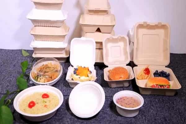قیمت ظرف چهارخانه گیاهی + خرید باور نکردنی