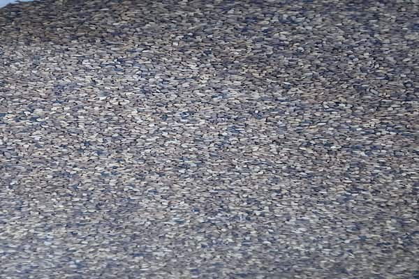 قیمت روغن کنجد ارگانیک + خرید باور نکردنی
