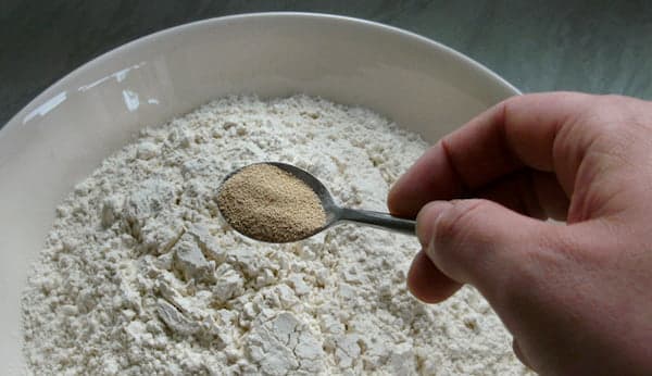 تصویر 3 از خرید خمیر مایه فریمان صادراتی  + قیمت فروش استثنایی