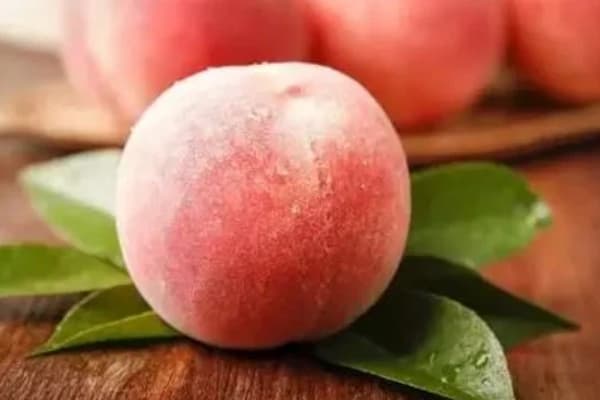 تصویر 5 از فروش پودر میوه هلو + قیمت خرید به صرفه