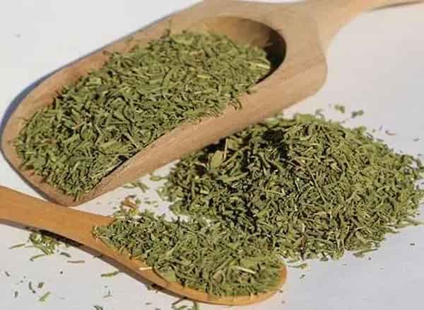 تصویر 4 از قیمت خرید پودر سبزی مرزه + فروش ویژه