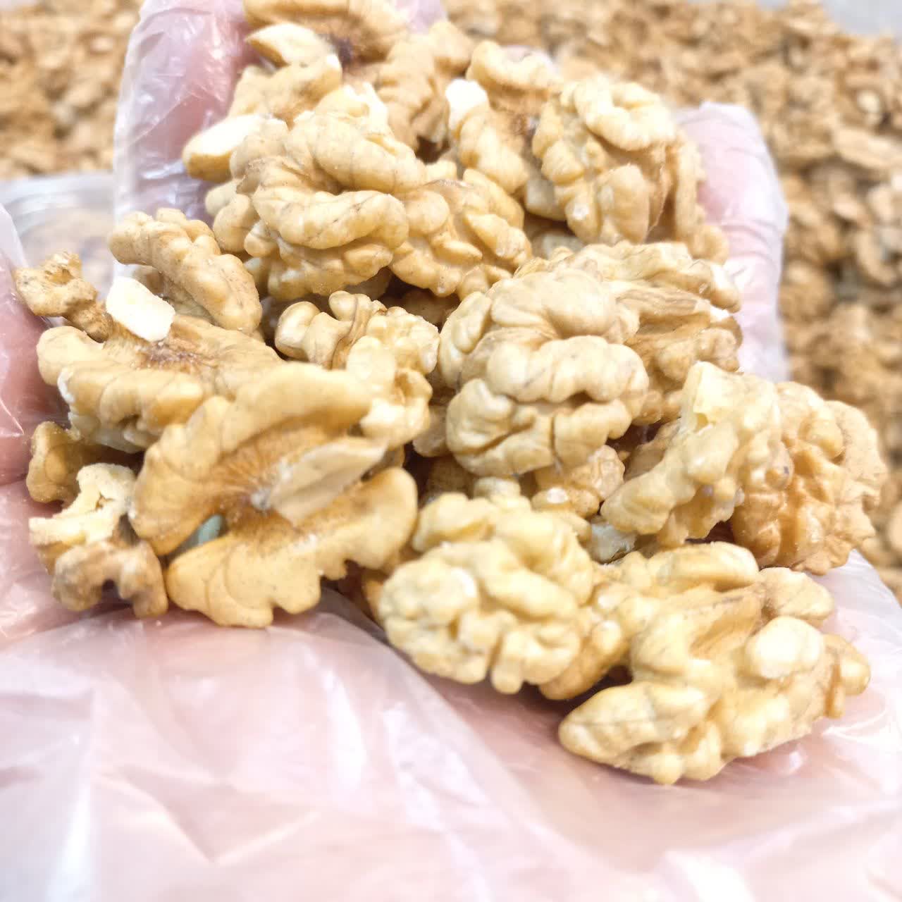 تصویر 5 از خرید و قیمت گردو مغز سفید + فروش عمده