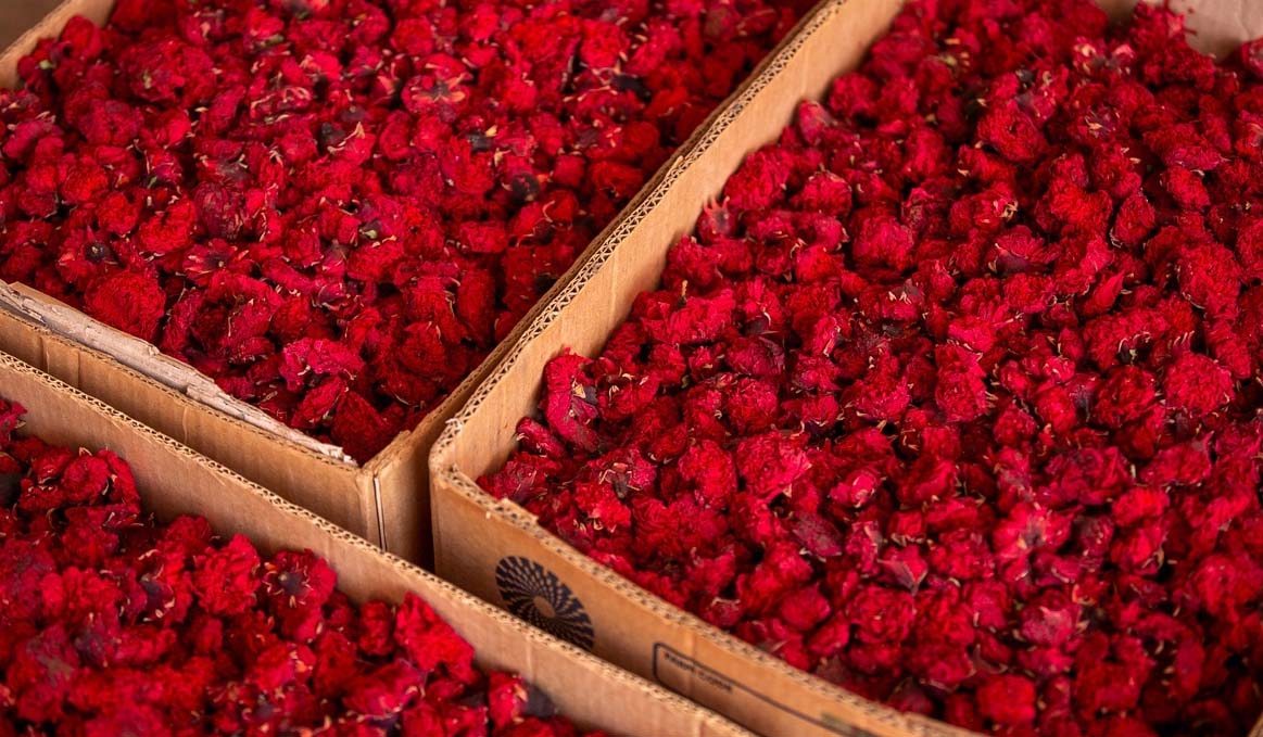 تصویر 2 از خرید گلنار گیاه دارویی + قیمت فروش استثنایی