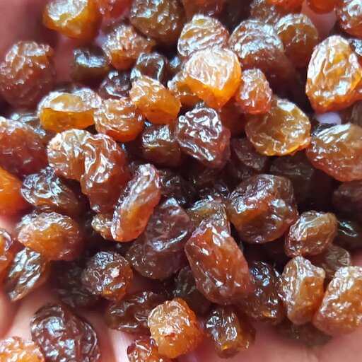 تصویر 3 از خرید کشمش انگوری طلایی + قیمت فروش استثنایی