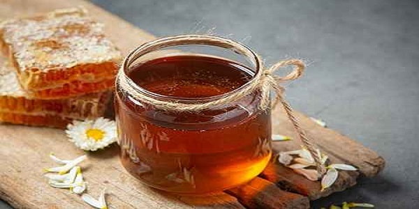 تصویر 2 از خرید عسل بوقناق درمانی + قیمت فروش استثنایی